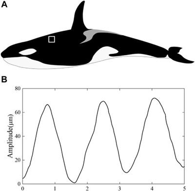 Drag reduction using bionic groove surface for underwater vehicles